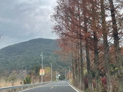 -四明山国家森林公园