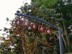 -中国科学院西双版纳热带植物园