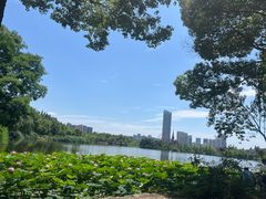 -成都南湖公园