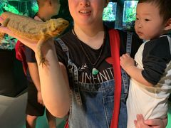 -萌宠奇缘