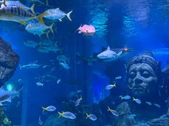 -暹罗海洋世界