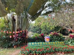 -海南热带野生动植物园