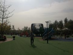 -永定河休闲森林公园