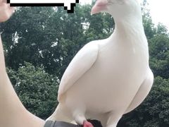 -音乐台