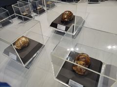 -周口店北京人遗址公园