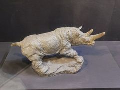 -北京周口店北京人遗址博物馆
