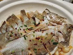 -单家老院·院子里的青岛菜(沙子口店)