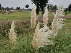 -汉长安城未央宫国家考古遗址公园