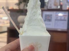 -野人先生Gelato(上海长宁龙之梦店)