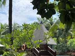 -海南清水湾莱佛士酒店