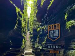 -梭布垭石林景区