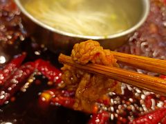 -大龙火锅(老店)
