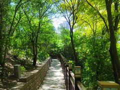-南翠屏公园