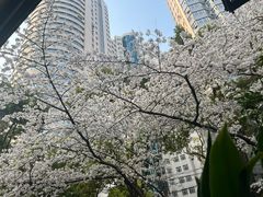 -玛格萝妮比萨屋(四平店)