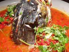 剁椒鱼头-坛宗剁椒鱼头(河西王府井店)