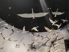 -中国湿地博物馆