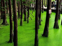 -云龙湖旅游景区