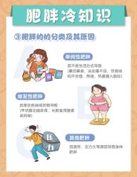 -Fundi张玉珊修身堂·indiba·BTL科技瘦身