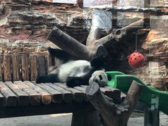 -石家庄市动物园