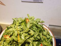 -船歌·鱼水饺青岛菜(金狮广场店)