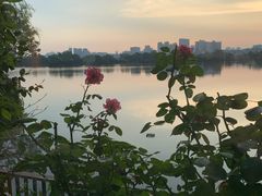 -东湖食堂·湖景餐厅•会议