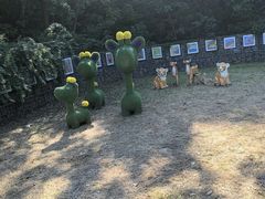 -六合国家地质公园桂子山景区