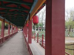 -赵州桥景区