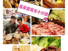-济南喜来登酒店-盛宴自助西餐厅·综合自助