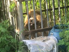 -不觉晓CAMPING(上海迪士尼营地店)