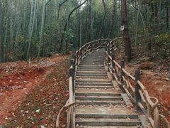-青龙山国家森林公园