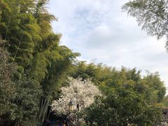 -宝岩生态观光园