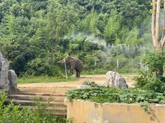 -宁波野生动物园