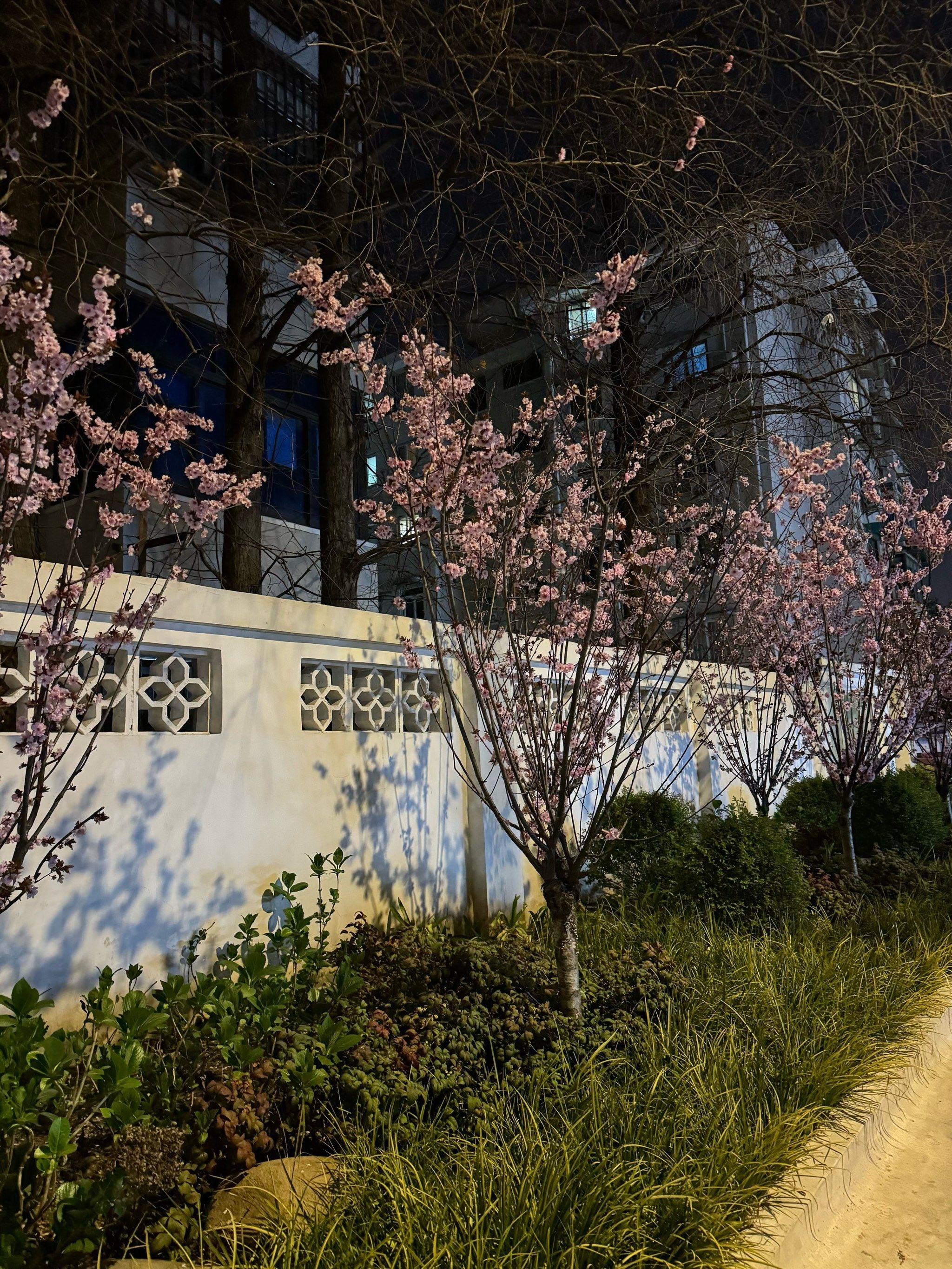 黑山路(原先花鸟市场)