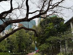 -九龙公园