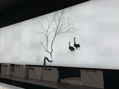 -BLACKSWAN黑天鹅(环球店)
