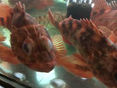 -合家小菜餐馆(新诚花苑店)