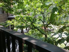 -Local泰莲庭(虹鳟鱼店)