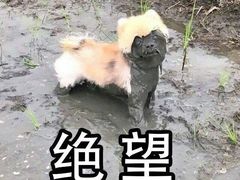 -佰德观岚记羽毛球馆