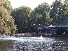 -百脉泉景区