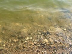 iphone_upload_pic-永定河休闲森林公园