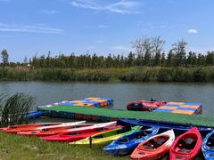 -春花秋色城市公园