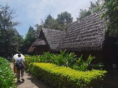 -云南民族村