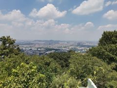 -紫金山天文台