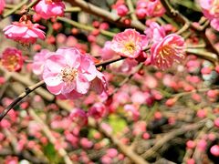 -上海市静安区闸北中心医院