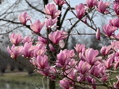 -上海辰山植物园
