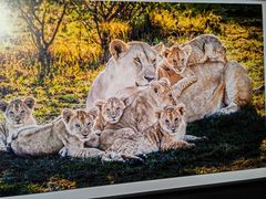 -罗红摄影艺术馆