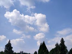 -原山国家森林公园