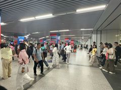 -宋家庄(地铁站)