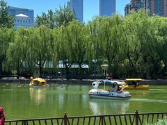 -紫光园·烤鸭·北京菜(团结湖店)