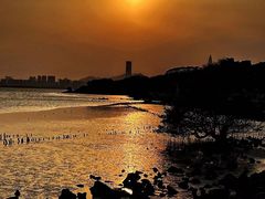 -深圳湾公园(南山区)